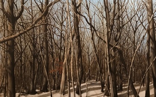 <strong>Trees, snow, shadows</strong> <span class="dims">24x42”</span> oil on linen